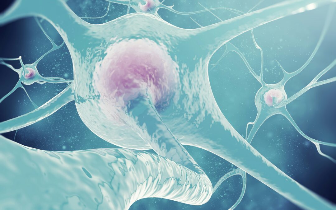 What It Means To “Reset Your Nervous System”